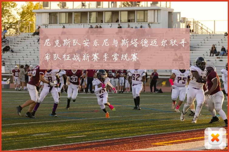 尼克斯队安东尼与斯塔德迈尔联手率队征战新赛季常规赛