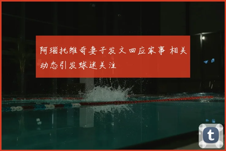 阿瑙托维奇妻子发文回应家事 相关动态引发球迷关注
